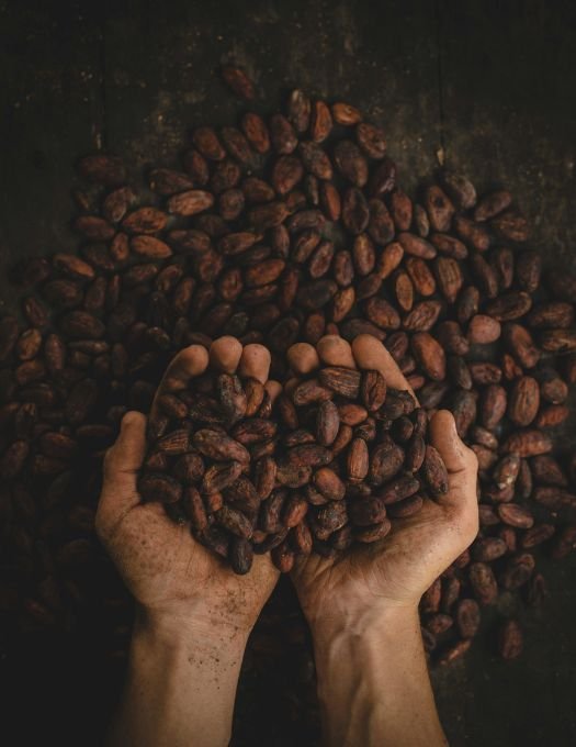 Premium Venezuelan Cacao